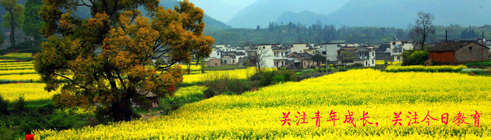 关注青年成长，关注今日教育